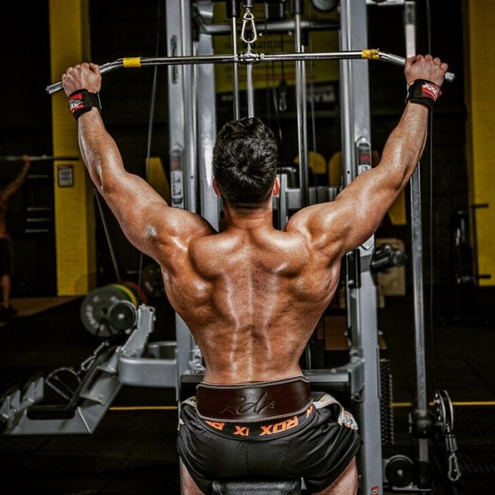 Matrix Nutrition Leather Weight Lifting Belt 4" Back Support Gym Training Brace 