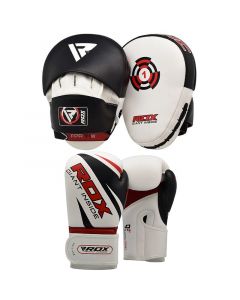 sparring gloves and pads