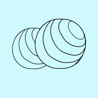 RDX Yoga Ball